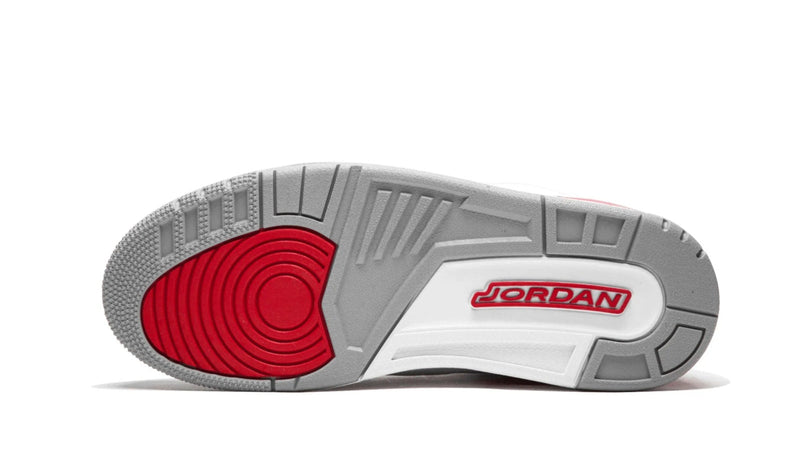 Air Jordan 3 Retro "Katrina" (Hall of Fame)